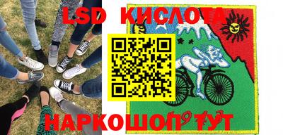 spice Кимры